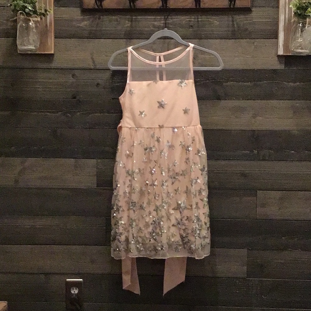Poppies and Roses Pink Star Dress